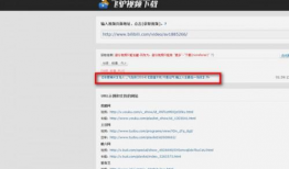 怎么下载b站视频,B站视频下载全攻略