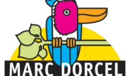 法国啄木鸟视频,揭秘自然界的神奇建筑师